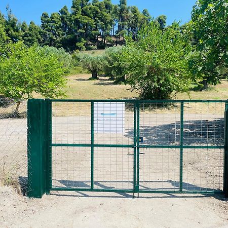 Thalassa Garden Studios Pefkohóri Kültér fotó